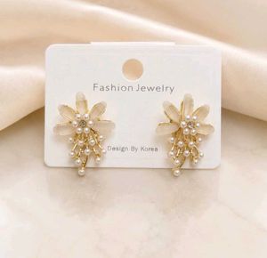Sparkling korean Earrings