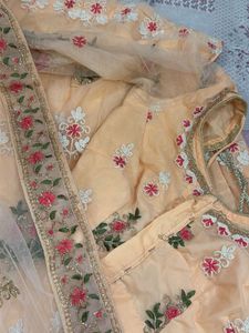 Beautiful Embroidered Peach Lehenga