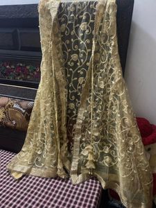 Beautiful Golden Shrug
