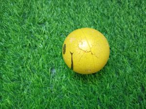 pack of 6 Balls (sponge &amp; plastic)
