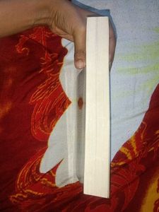 India's Ancient Past Book