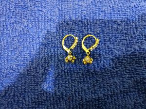 Small Hoop Earrings