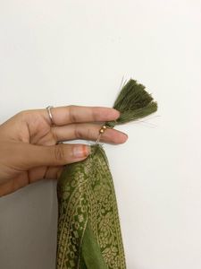 Regal Olive Anarkali