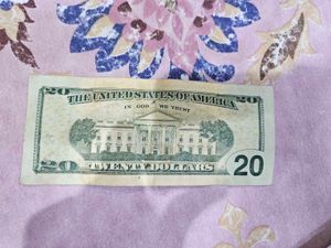 20 Dollar note