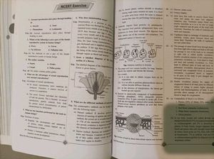 PW Class 10 Physics, Chemistry &amp; Biology Modules