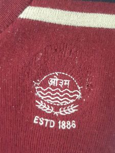 Sweater, Size 24