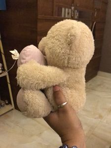 Cute Teddy Bear with Love Heart