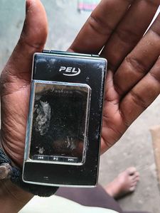 PEL W558 Flip Phone