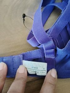 Purple Padded Bra,