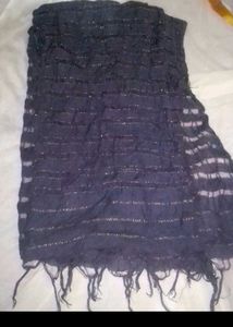 Sparkly Striped Scarf dupatta