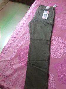 Men's Olive Green pant