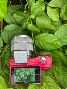 Sony Alpha Nex 1 Camera - Red