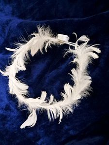 Feather Headdress Halo