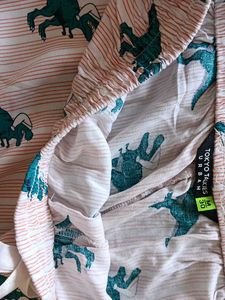 Dinosaur Pajama Pants