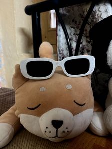Aesthetic Shades/Sunglasses