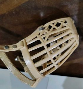 dog Muzzle For Almost An Year Puppy