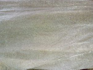 Sheer Leggings with Lace Trim