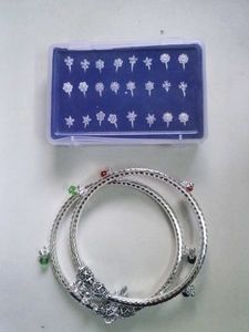 noise pins and Silver-Toned anklets