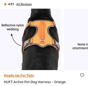 Dog Harness