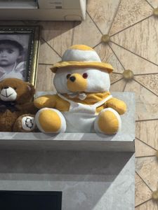 Cute Teddy Bear Plush Toy