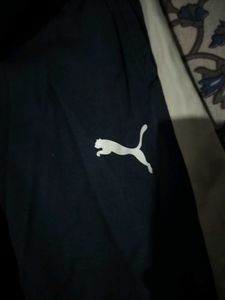 Puma Navy Blue Athletic Shorts
