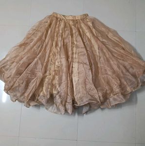 Golden Beige Embroidered Lehenga Set