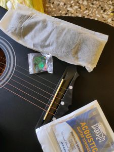 Acoustic Guitar