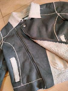 Gray Biker Jacket 🧥🏍️🦈🦭🪨🐏