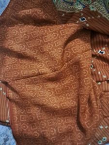 Beautiful Rust Orange Saree