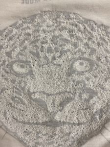 Embellished T Shirt