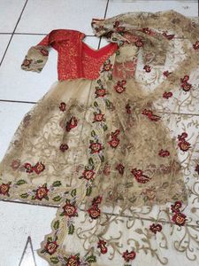 Green Ethnic Skirt with net frok style kurta wit