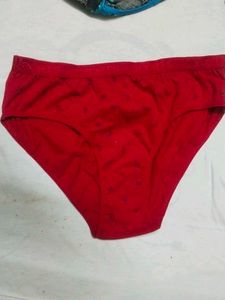 tummy tucker Floral Print Bikini Briefs