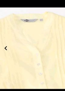 Pleated V-Neck Top