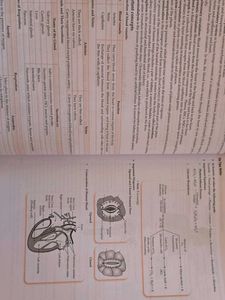Oswaal CBSE Class 10 Science Sample Papers