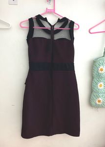 Stylish Net Neck Bodycon Dress