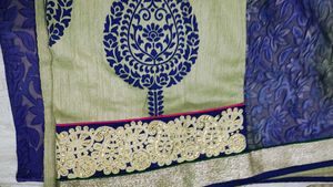 Elegant Mint Green Saree(bilkul new)