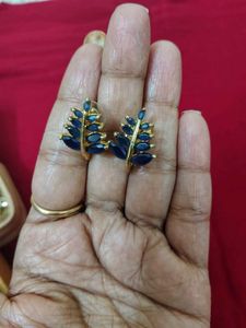 Elegant Leaf Design Blue Stone Earrings