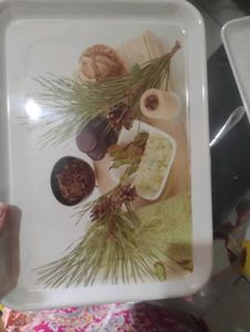 Set of 2 Decorative Trays
