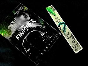 The Finisher Book 4 - Dark Verse Series