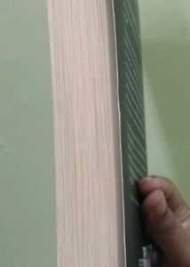 The Mountain Is You Book