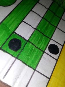 ITS A LUDO HOME MADE