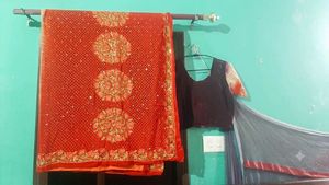 beautiful saari embroided with dapka and sequence