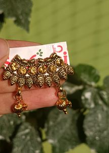 Beautiful Golden Earnings