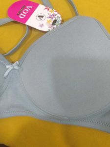 309 -- full coverage petal soft padded VOD bra