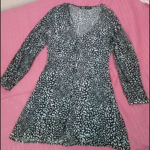 Zara Leo Print Dress