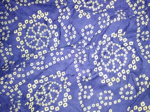 Elegant Blue Kurti with Traditional Motifs