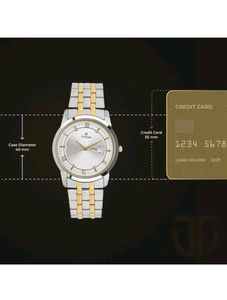 Titan Men's Watch - Silver and Gold