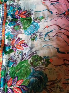BEAUTIFUL SAREE