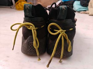 Men's Sport Shoes