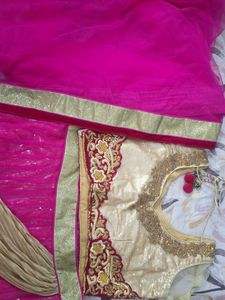 Stunning Pink Lehenga with Gold Embellishments